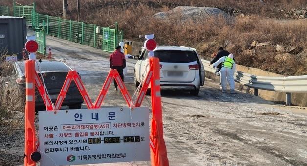 멈춰 선 강릉 양돈농장…1년 2개월만에 발생한 ASF 현장