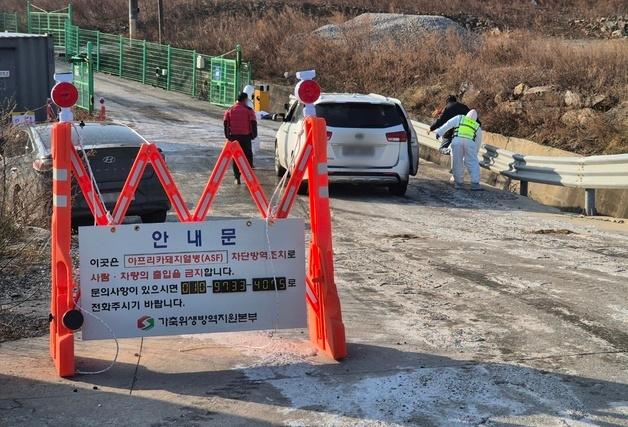 멈춰 선 강릉 양돈농장…1년 2개월만에 발생한 ASF 현장