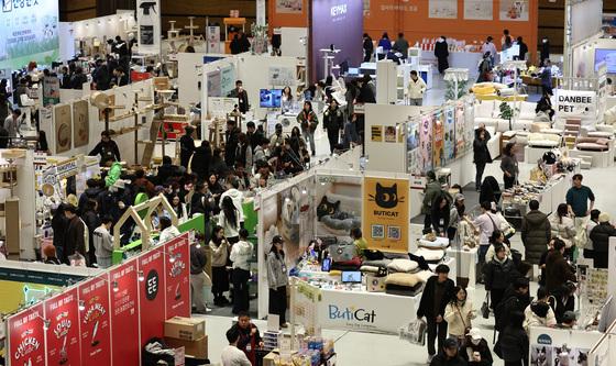 2026 가낳지모 캣페어