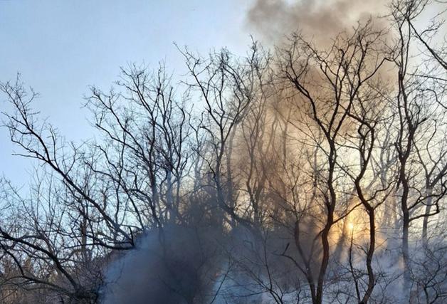 '귀신 잡는 해병대' 신속한 판단으로 산불로 확산 위기 '화재 잡았다'