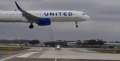 (출처=소셜미디어 엑스(X))