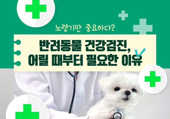 노령기만 중요?…반려동물 건강검진, 어릴 때부터 필요한 이유[펫카드]