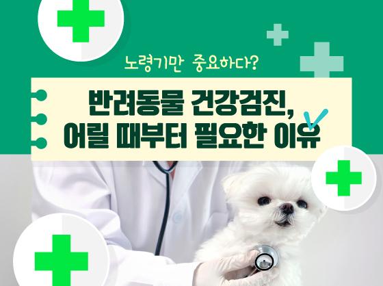 노령기만 중요?…반려동물 건강검진, 어릴 때부터 필요한 이유