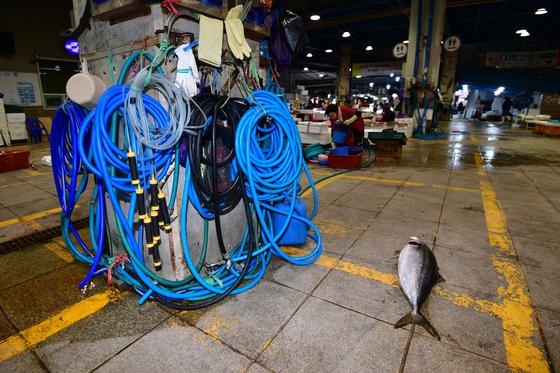 최저 -18도·서울 -11도 꽁꽁 언 주말…24일 오전까지 최대 5㎝ 눈