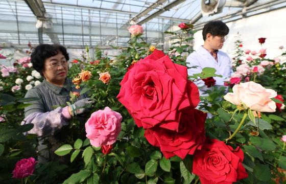 [뉴스1 PICK] 지속되는 북극 한파…곳곳에 강풍 체감온도 '뚝'