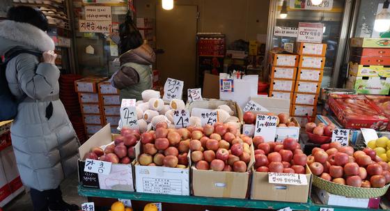 설 명절 과일·고기·생선 가격 다 올라…정부, 할인 지원