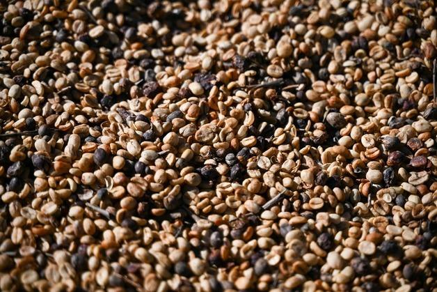 콩·향료 섞어 커피 둔갑…베트남 경찰 '가짜 커피' 무더기 압수