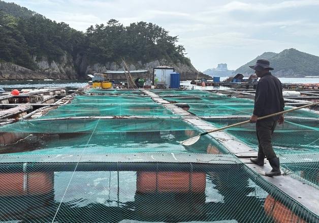 해수부-법무부, 외국인 양식기술자 국내 고용 범위 16개 품종으로 확대