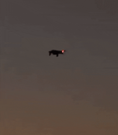 (출처=소셜미디어 엑스(X) 계정)