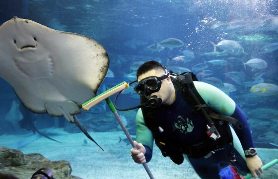 [뉴스1 PICK] 묵은 때 벗겨내고 병오년 새해 시작을 활기차게