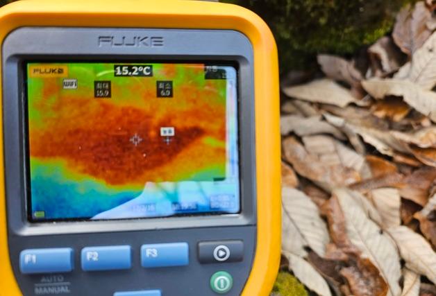 경북 의성 빙계계곡서 '온혈지대' 첫 발견…"연구 가치 높아"