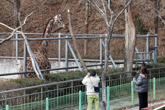 포근한 한낮 "가족 나들이에 딱!"…광주 우치동물원 주말 '북적'