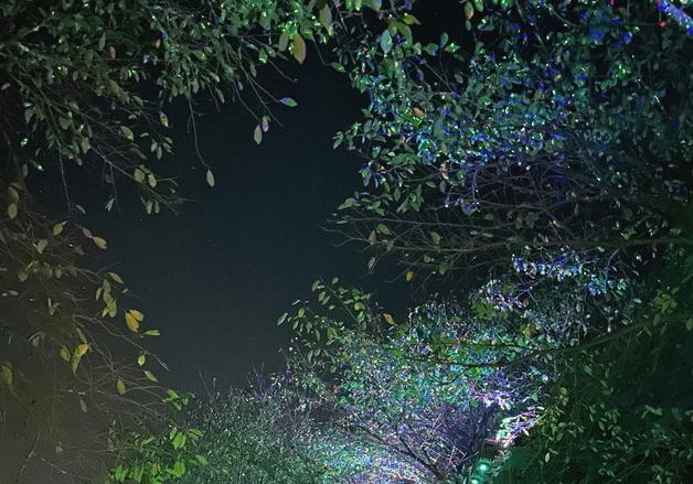 보은 보청천변 밤길 환해졌다…풍취~중동 조명 설치 완료