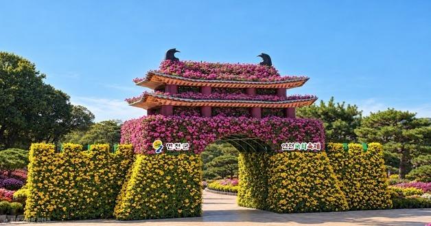 연천군, 16~25일 전곡리유적서 '제8회 연천 국화축제' 개최