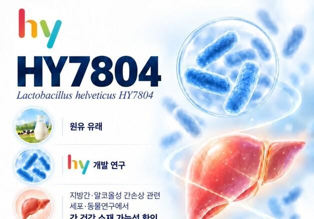 hy "프로바이오틱스 'HY7804' 간 손상 완화 가능성 확인"…국제학술지 게재