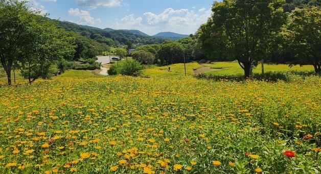[오늘의 날씨] 충북·세종(15일, 목)…일교차 최대 20도