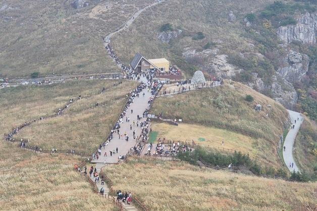 춤추는 황금빛 억새…가을 품은 간월재에 등산객 '북적'