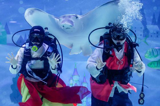 [뉴스1 PICK]한복입은 다이버들, 가오리와 함께 '설 인사 드려요'