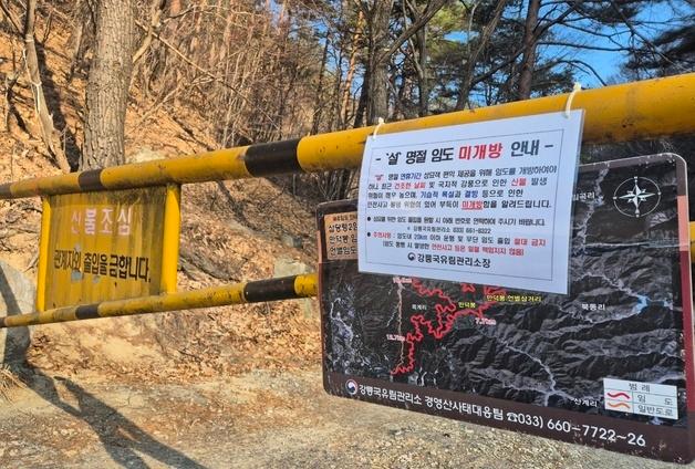 "조상님, 올해는 못 갑니다"…바싹 마른 겨울에 막힌 강릉 성묘길