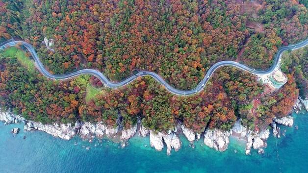 남해군 방문객 수도권 거주자 가장 많아…가족 단위가 절반 이상