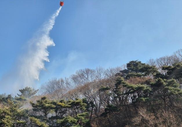 창원 병천소류지 인근 야산서 불…1시간 만에 초진 