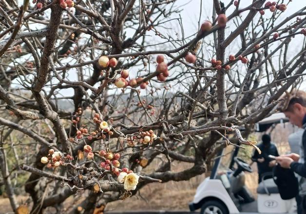 '최고 13도' 연휴 셋째 날 구름 걷히며 포근…동해안 비·눈[내일날씨]