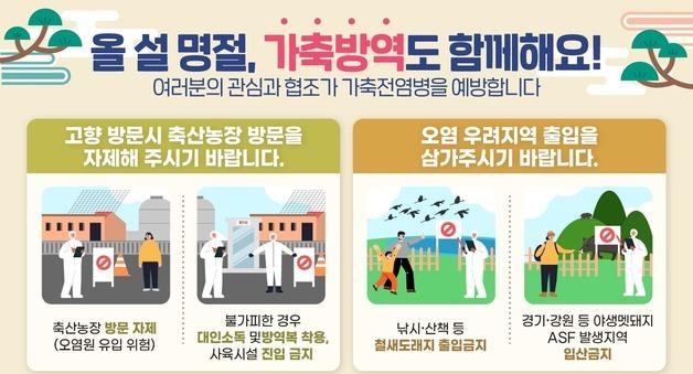 '돼지열병·조류독감' 비상…"성묘 후 농장 가지 마세요"
