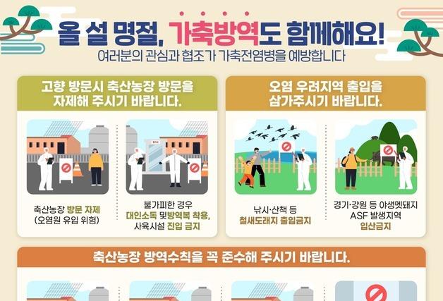 '돼지열병·조류독감' 비상…"성묘 후 농장 가지 마세요"