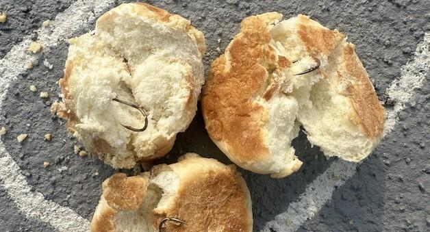 반려견 놀이터에 '낚싯바늘빵' 테러…경찰에 수사의뢰