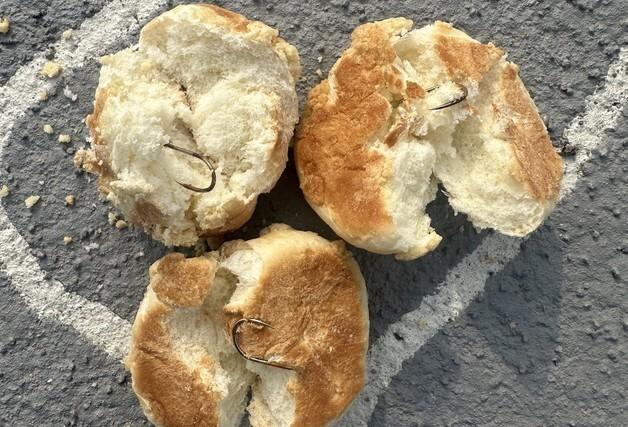 반려견 놀이터에 '낚싯바늘빵' 테러…경찰에 수사의뢰