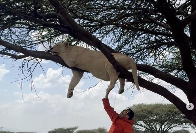 노홍철, 약 취한 사자와 인증샷?…"동물권 인식 낮아" vs "몰랐을 것" 갑론을박 