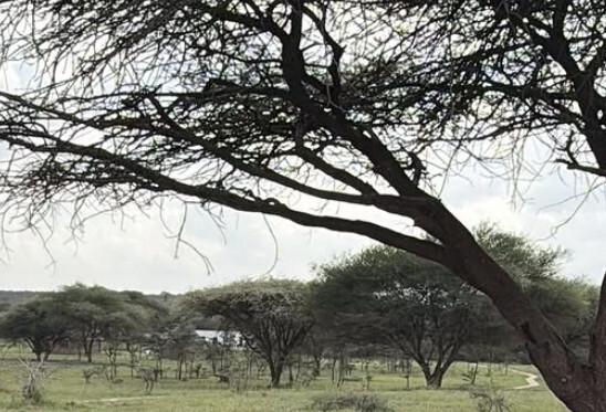 노홍철 '아프리카 약물 사자' 논란에 직접 입장 "귀한 의견…당연히 함께할 것"