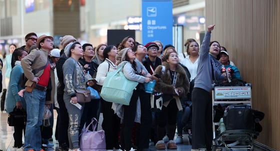 "'이것' 들고 韓 입국했다 과태료 500만원"…대만서 주의보