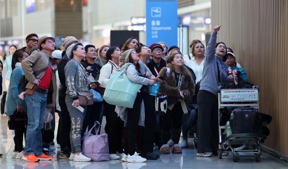 "'이것' 들고 韓 입국했다 과태료 500만원"…대만서 주의보