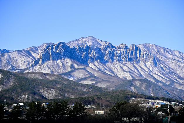 국내 숲 지키고 목재는 해외서?…"韓 목재 수급정책 재검토해야"