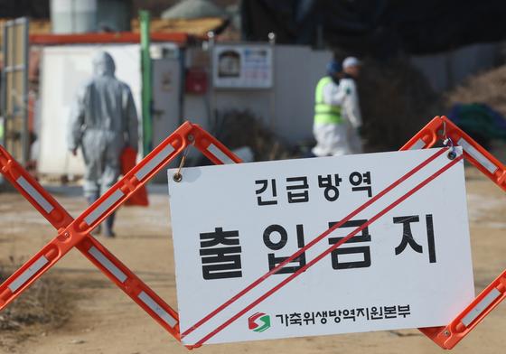 경남 합천서 ASF 발생…27일 오후 10시까지 일시이동중지 명령