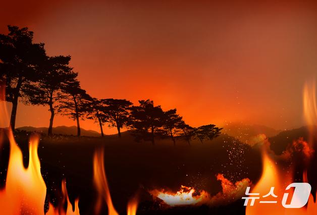 포천 미8군 사격장서 불…16시간 만에 진화(종합)