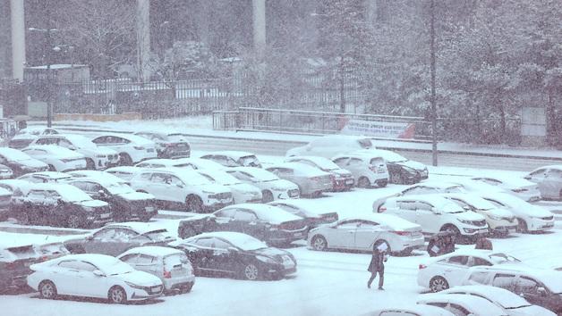 세종 대설주의보 해제…교통사고로 전신주 전도 응급 복구