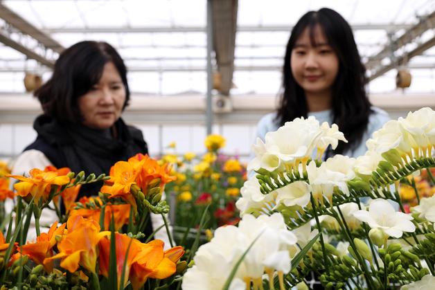 [오늘의 날씨]전북(1일, 일)…오전부터 흐려져, 새벽~아침 안개 주의