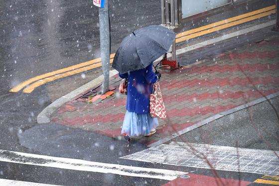 강원북부산지 대설주의보 발효…2~7㎝ 적설 예보