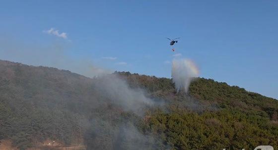 창원서 폭죽 놀이하다 산불 낸 '촉법' 중학생 2명