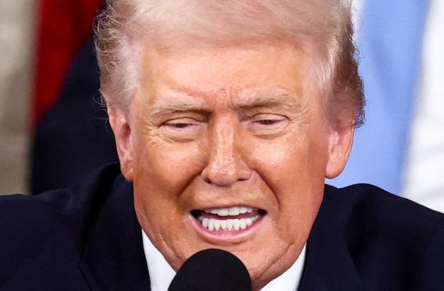 "외세 개입 맞서 중간선거 통제"…비상사태 시나리오 미는 마가