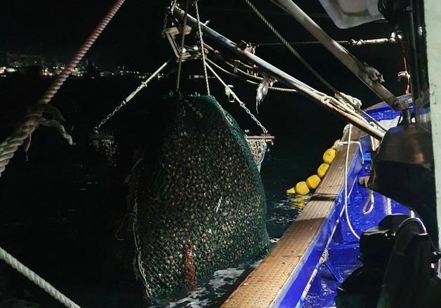 창원해경, 불법 조개 채취선 3척 추가 검거…올해 7척 적발