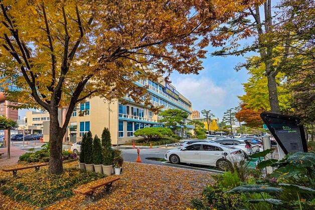 대전 중구, 청년 지원 패키지 가동…"유입부터 자립까지"