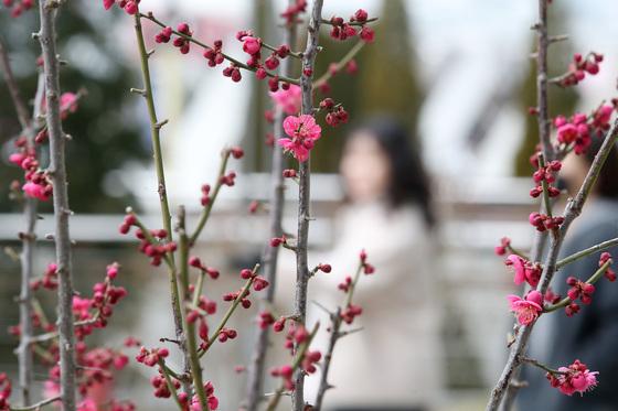[오늘의 날씨]대구·경북(28일,토)…일교차 15도 안팎, 낮 10~16도