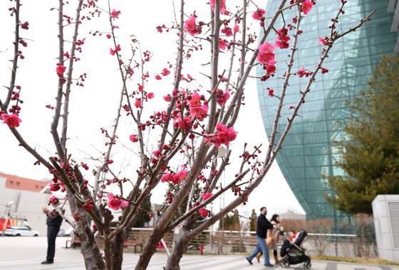 [오늘의 날씨]대구·경북(27일,금)…오전까지 비, 낮 9~13도