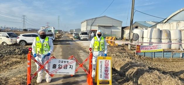 고양시 한우 농가에 또 구제역 발생…19일에 이어 두 번째