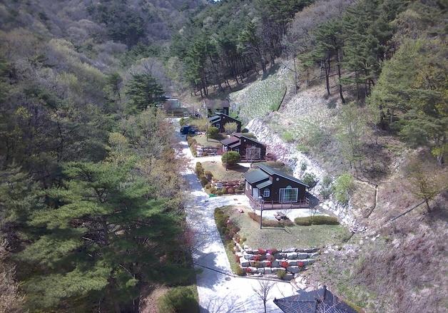 "반려견과 함께 힐링"…함양 산삼자연휴양림 인기
