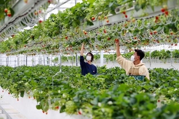 "평균 농업소득 5000만원 목표"…밀양시, '2050 미래농업' 추진