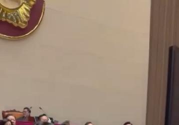 혁신당 "국힘 서명옥, 피켓으로 이해민 폭행…윤리특위 제소"